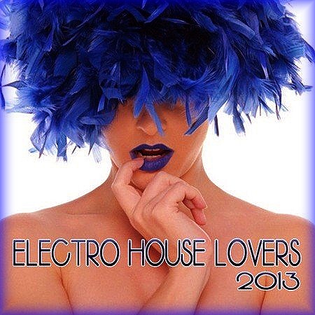 Electro House Lovers (2013)