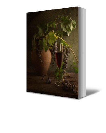 Арина Мишина - Вино в домашних условия (2013) PDF