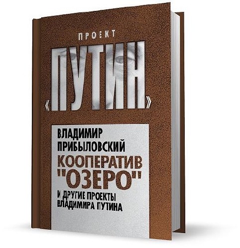 Кооператив «Озеро» и другие проекты Владимира Путина