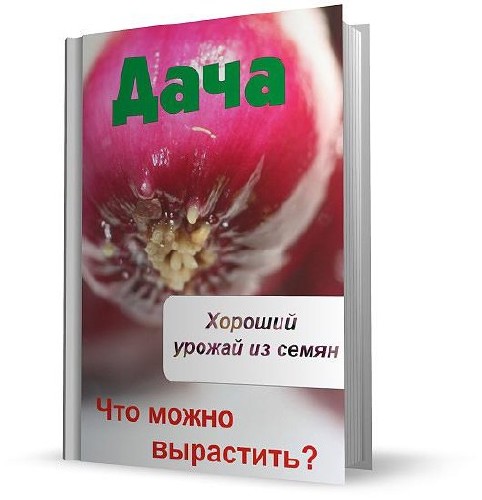 Что можно вырастить? Хороший урожай из семян